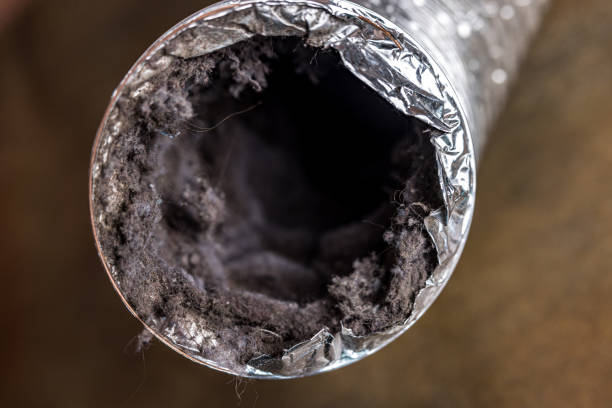 Best Professional Duct Cleaning Services  in Laurel, FL