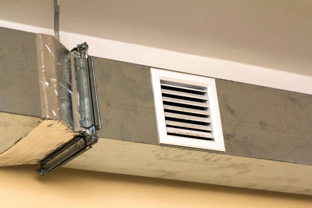 Best Local Air Duct Cleaning Services  in Laurel, FL